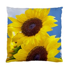 Sunflower Floral Yellow Blue Sky Flowers Photography Standard Cushion Case (two Sides) by yoursparklingshop