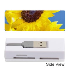 Sunflower Floral Yellow Blue Sky Flowers Photography Memory Card Reader (stick)  by yoursparklingshop