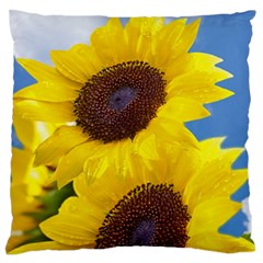 Sunflower Floral Yellow Blue Sky Flowers Photography Large Flano Cushion Case (two Sides)