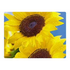 Sunflower Floral Yellow Blue Sky Flowers Photography Double Sided Flano Blanket (mini)  by yoursparklingshop