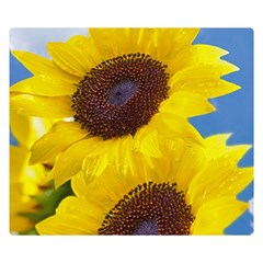 Sunflower Floral Yellow Blue Sky Flowers Photography Double Sided Flano Blanket (small)  by yoursparklingshop