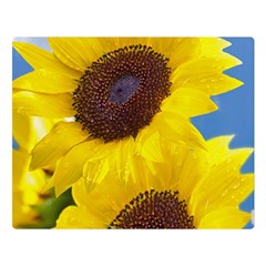 Sunflower Floral Yellow Blue Sky Flowers Photography Double Sided Flano Blanket (large)  by yoursparklingshop