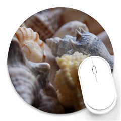 Seashells Round Mousepads by StarvingArtisan