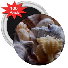 Seashells 3  Magnets (100 Pack) by StarvingArtisan