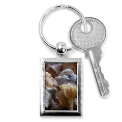 Seashells Key Chains (rectangle)  by StarvingArtisan