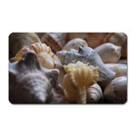 Seashells Magnet (Rectangular) Front