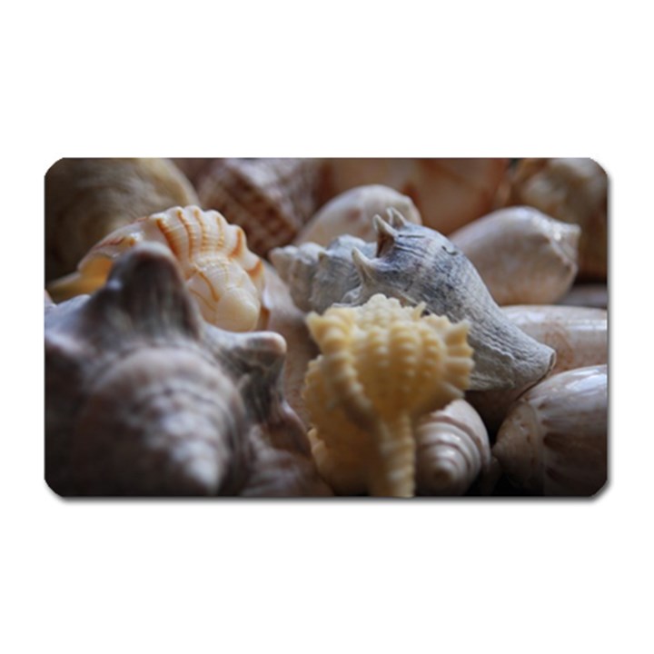 Seashells Magnet (Rectangular)