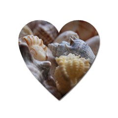 Seashells Heart Magnet by StarvingArtisan