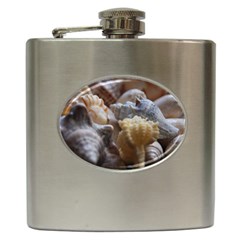 Seashells Hip Flask (6 Oz) by StarvingArtisan