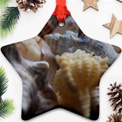 Seashells Star Ornament (two Sides) by StarvingArtisan