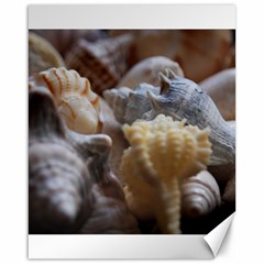 Seashells Canvas 16  X 20   by StarvingArtisan