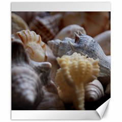 Seashells Canvas 20  X 24   by StarvingArtisan