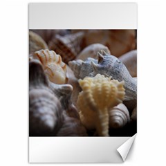 Seashells Canvas 20  X 30   by StarvingArtisan