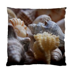 Seashells Standard Cushion Case (one Side) by StarvingArtisan