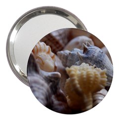 Seashells 3  Handbag Mirrors by StarvingArtisan