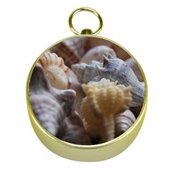 Seashells Gold Compasses by StarvingArtisan