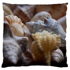 Seashells Standard Flano Cushion Case (one Side) by StarvingArtisan