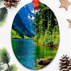 Beautiful Nature Lake Oval Ornament (two Sides)