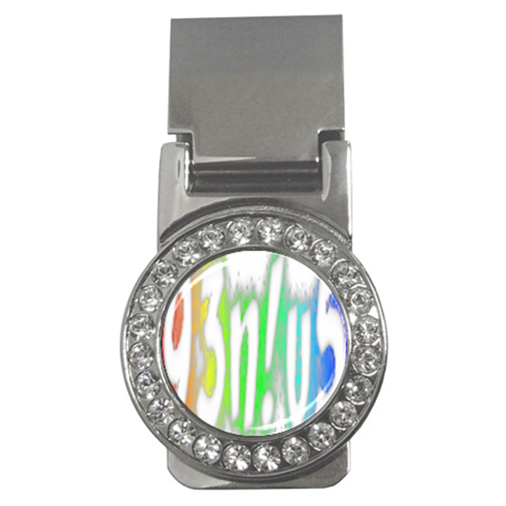 Genius Funny Typography Bright Rainbow Colors Money Clips (CZ) 