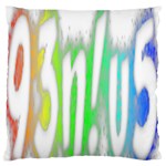 Genius Funny Typography Bright Rainbow Colors Large Flano Cushion Case (One Side) Front