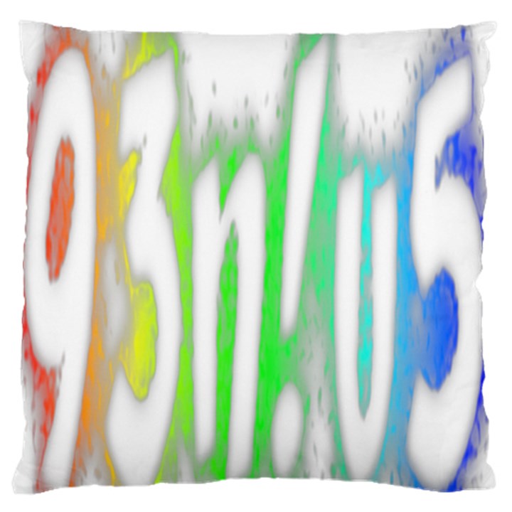 Genius Funny Typography Bright Rainbow Colors Large Flano Cushion Case (One Side)