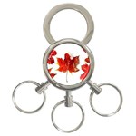 Innovative 3-Ring Key Chains Front