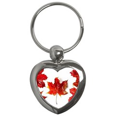 Innovative Key Chains (heart) 