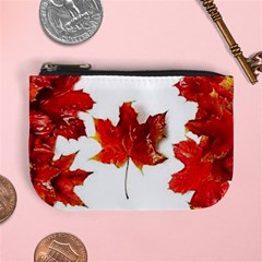 Innovative Mini Coin Purses by GlobidaDesigns