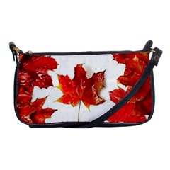 Innovative Shoulder Clutch Bags