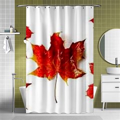 Innovative Shower Curtain 48  X 72  (small)  by GlobidaDesigns