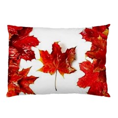 Innovative Pillow Case (two Sides) by GlobidaDesigns