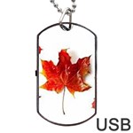 Innovative Dog Tag USB Flash (Two Sides) Front