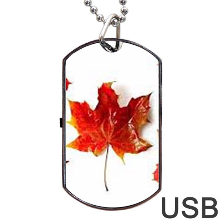 Innovative Dog Tag USB Flash (Two Sides)