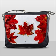 Innovative Messenger Bags by GlobidaDesigns