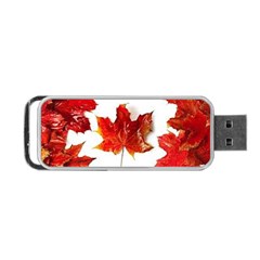 Innovative Portable Usb Flash (two Sides) by GlobidaDesigns