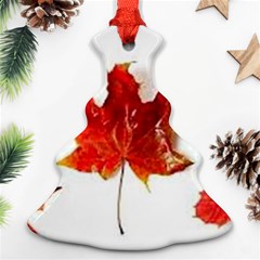 Innovative Ornament (christmas Tree)  by GlobidaDesigns