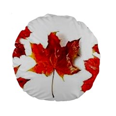 Innovative Standard 15  Premium Round Cushions