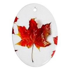 Innovative Ornament (oval) by GlobidaDesigns