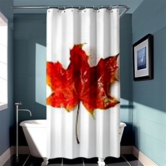 Innovative Shower Curtain 36  X 72  (stall)  by GlobidaDesigns