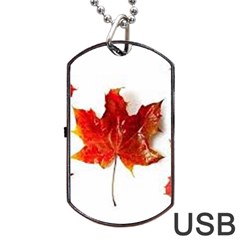 Innovative Dog Tag Usb Flash (one Side) by GlobidaDesigns