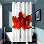 Innovative Shower Curtain 36  x 72  (Stall)  Curtain(36 X72 ) - 33.26 x66.24  Curtain(36 X72 )