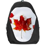 Innovative Backpack Bag Front