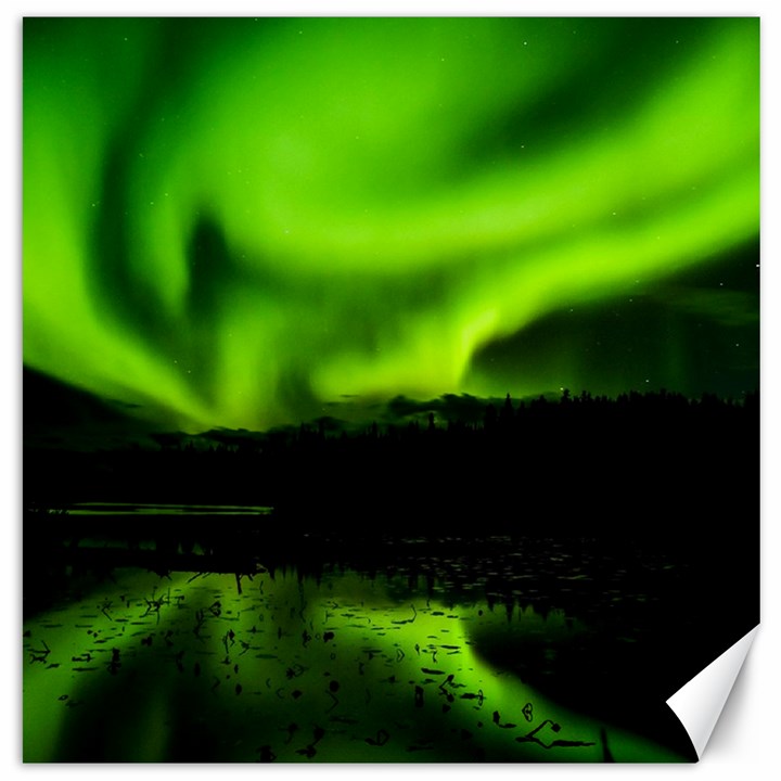 Aurora Borealis Northern Lights Sky Canvas 16  x 16  