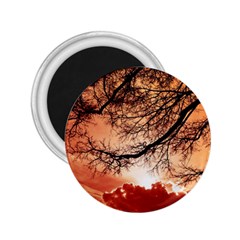 Tree Skyline Silhouette Sunset 2 25  Magnets by Simbadda