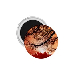 Tree Skyline Silhouette Sunset 1 75  Magnets by Simbadda