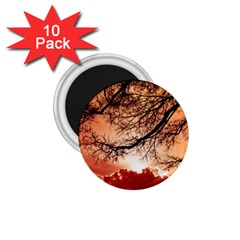 Tree Skyline Silhouette Sunset 1 75  Magnets (10 Pack)  by Simbadda