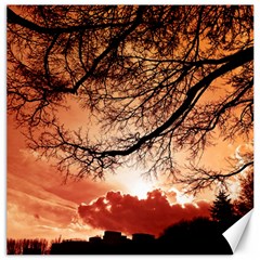 Tree Skyline Silhouette Sunset Canvas 20  X 20   by Simbadda