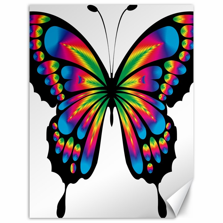 Abstract Animal Art Butterfly Canvas 12  x 16  