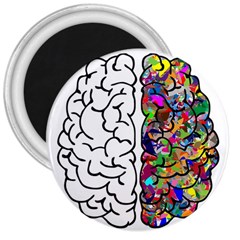 Brain Mind Anatomy 3  Magnets