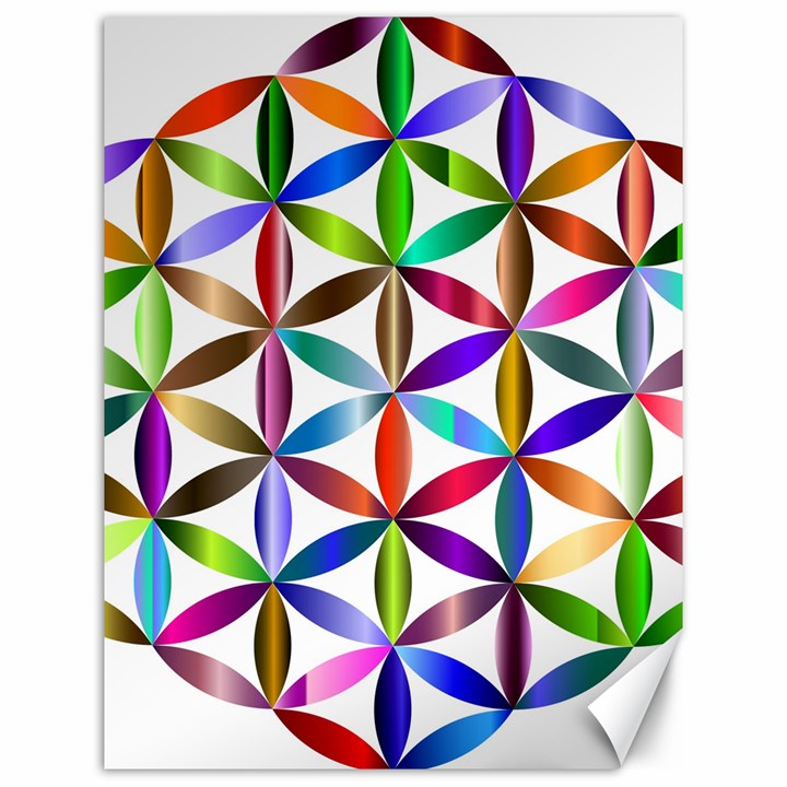 Flower Of Life Sacred Geometry Canvas 12  x 16  